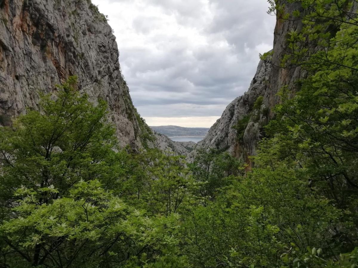 Green Point Paklenica Starigrad Paklenica Luaran gambar